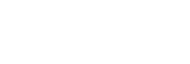 Blesk Aviation