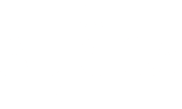 Auriga Group